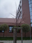 Duben 2011