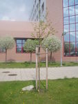 Duben 2010