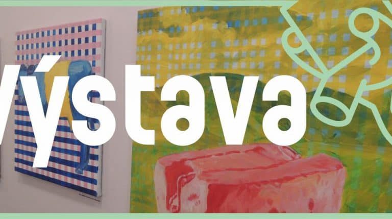 13vystava 1 1024x429 3
