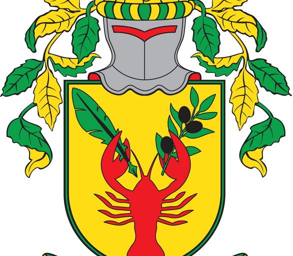 341 jirina sestakova 01