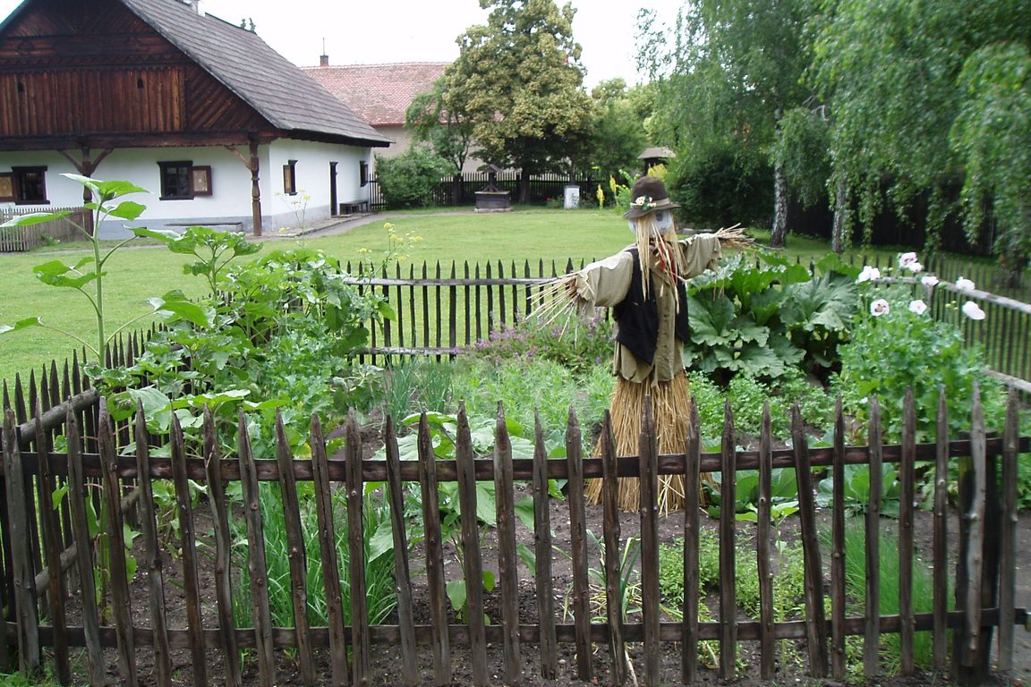 Členský příspěvek 2011