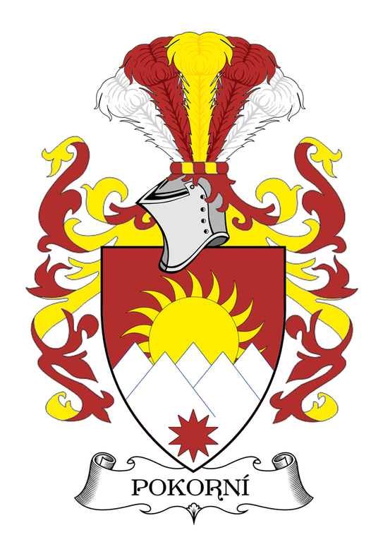 153 Lukas Pokorny