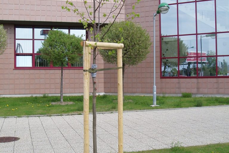 22.4.2009