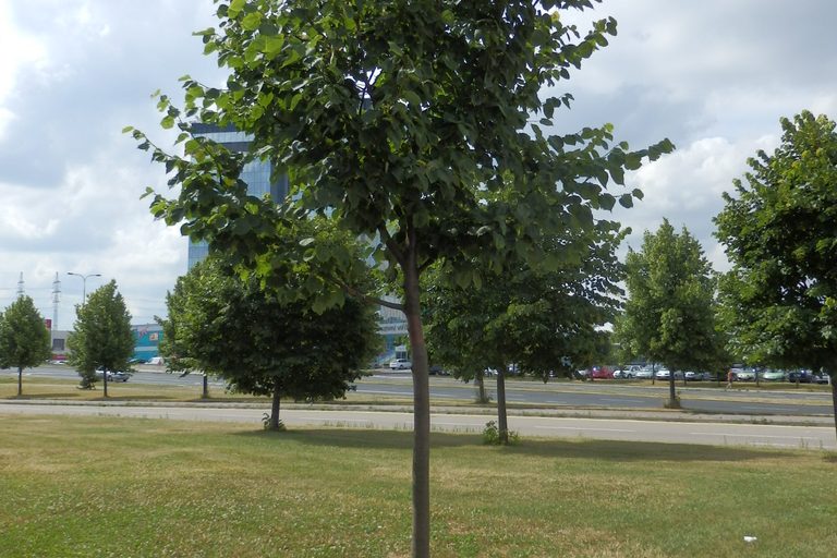 Červen 2014