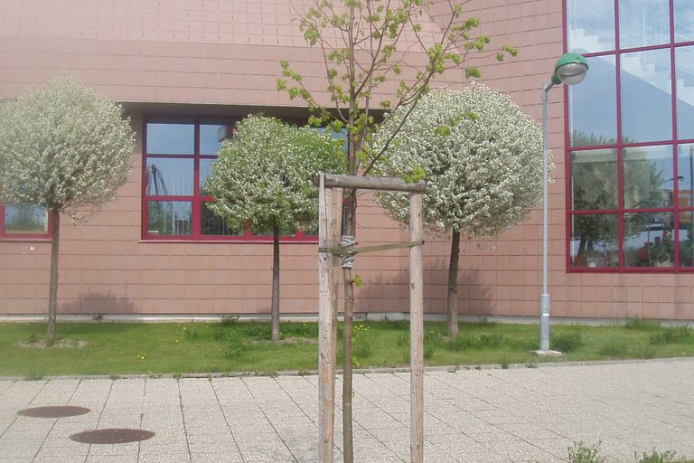 Duben 2010