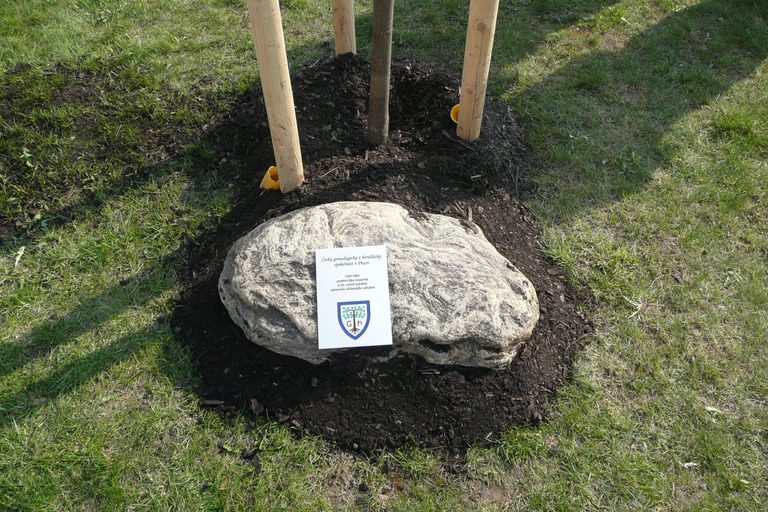 Genealogická skalka