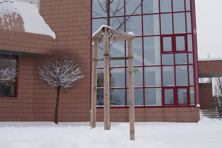 Leden 2010