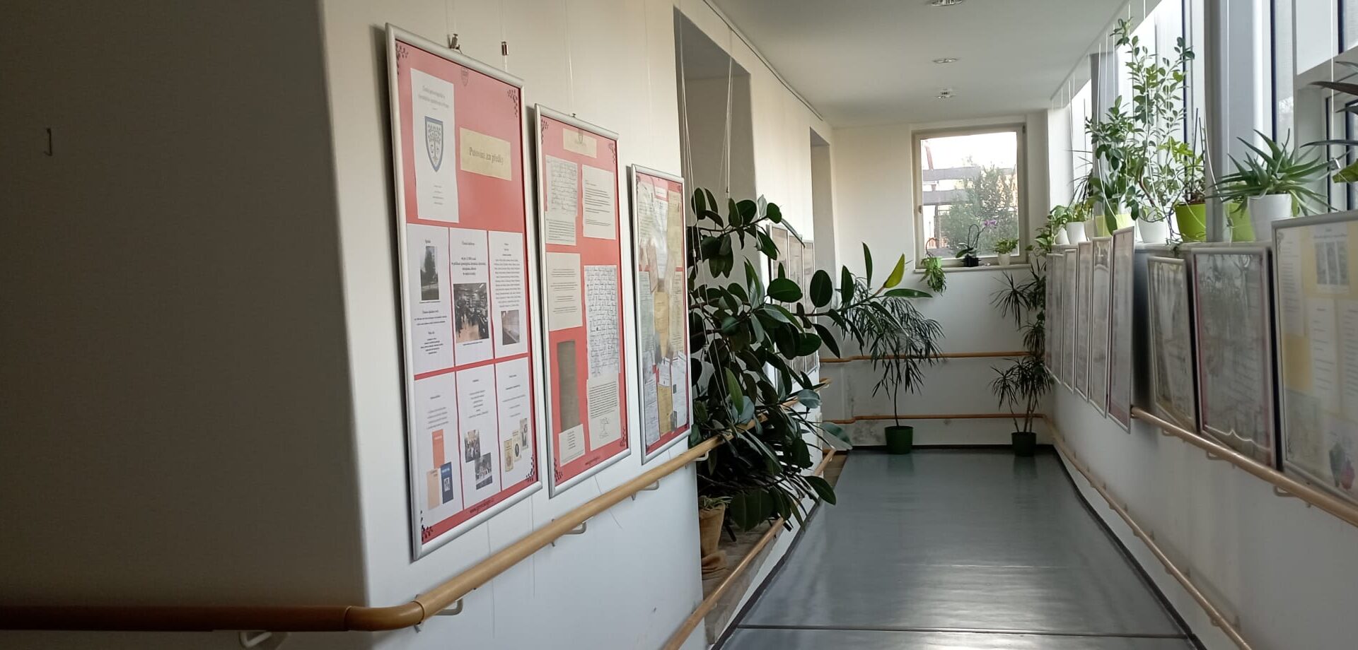 WhatsApp Image 2025 11 05 at 10.47.29.