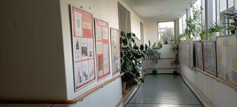 WhatsApp Image 2025 11 05 at 10.47.29.